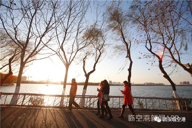 凤凰网专访杨泽发 区长说了！未来五年撸起袖子这么干！(图13)