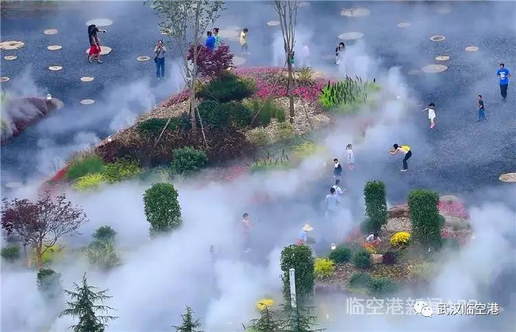 凤凰网专访杨泽发 区长说了！未来五年撸起袖子这么干！(图14)