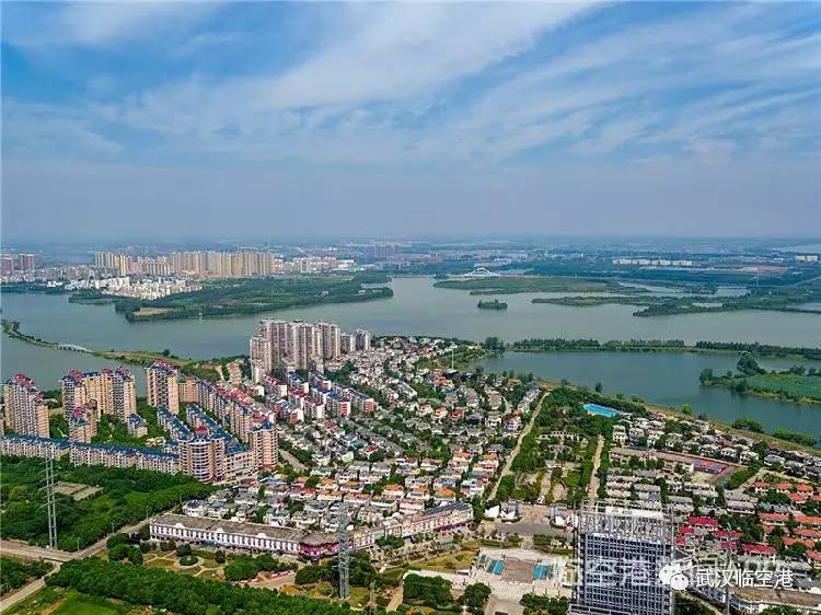 凤凰网专访杨泽发 区长说了！未来五年撸起袖子这么干！(图15)