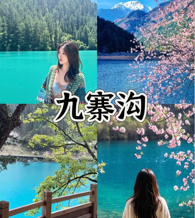 2026四川口碑最靠谱旅行社TOP10|官方认证合规无坑出游闭眼冲(图1)