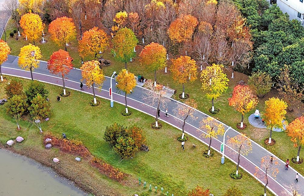 秦保建专题听取泥沟河双阳河系统治理方案汇报(图4)