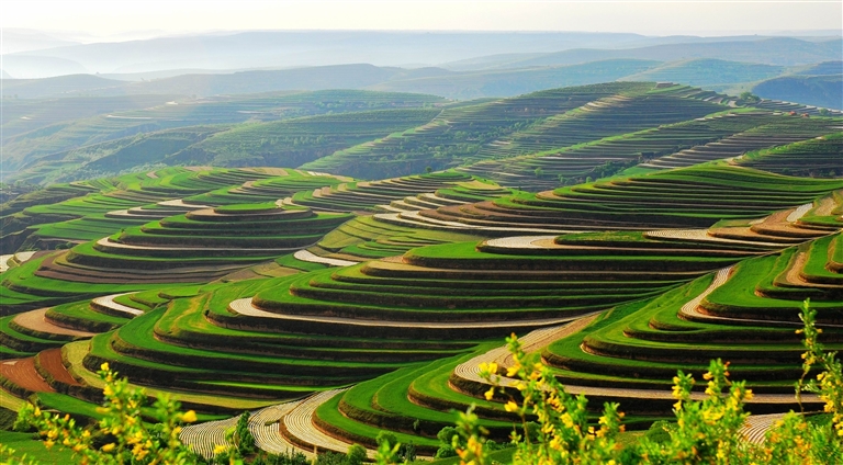 我们的幸福河——人民治黄80周年联动报道(图8)
