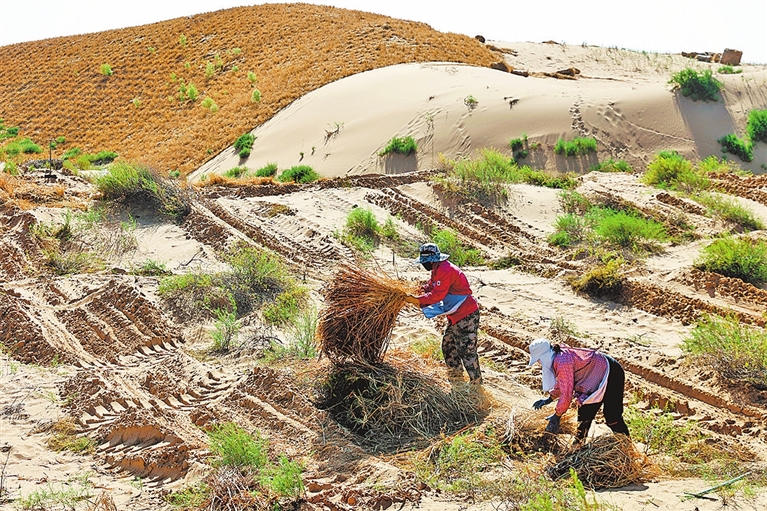 我们的幸福河——人民治黄80周年联动报道(图10)