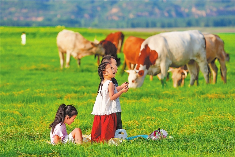 我们的幸福河——人民治黄80周年联动报道(图3)