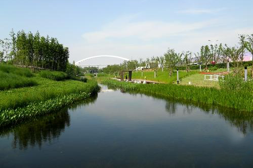 综合叙述城市如何进行河道治理城市生态河道治理的基本原则(图1)