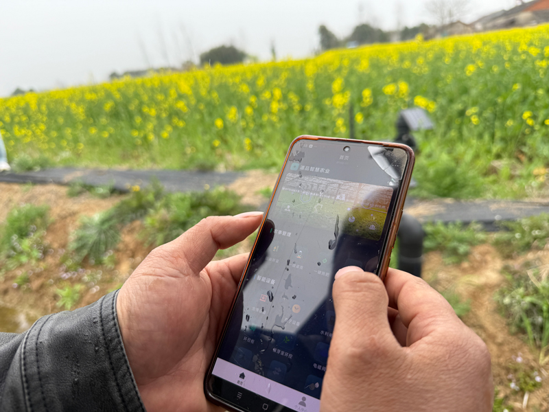 江淮“水”事新解(图1)