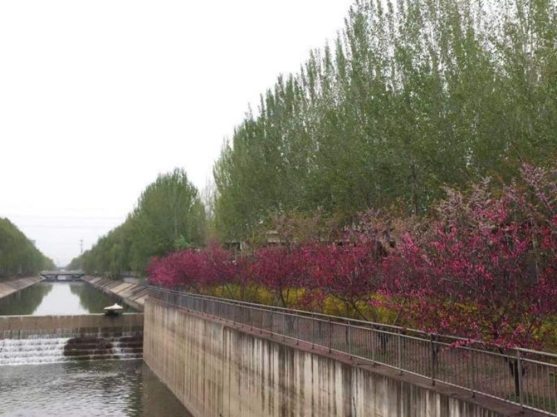 《荆州日报》头版关注沙市洪湖流域治理工作