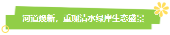 碧水清流绕古城——邯郸全域水系连通与生态修复的生动实践(图4)