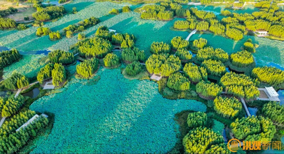 南昌让“国际湿地城市”名片更加闪亮(图4)