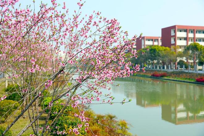 一河碧水润锦心城水相依向未来(图1)