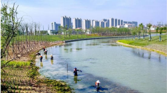 关注世界地球日丨解码水圈奥秘 河南高校为退化河流“疗伤”