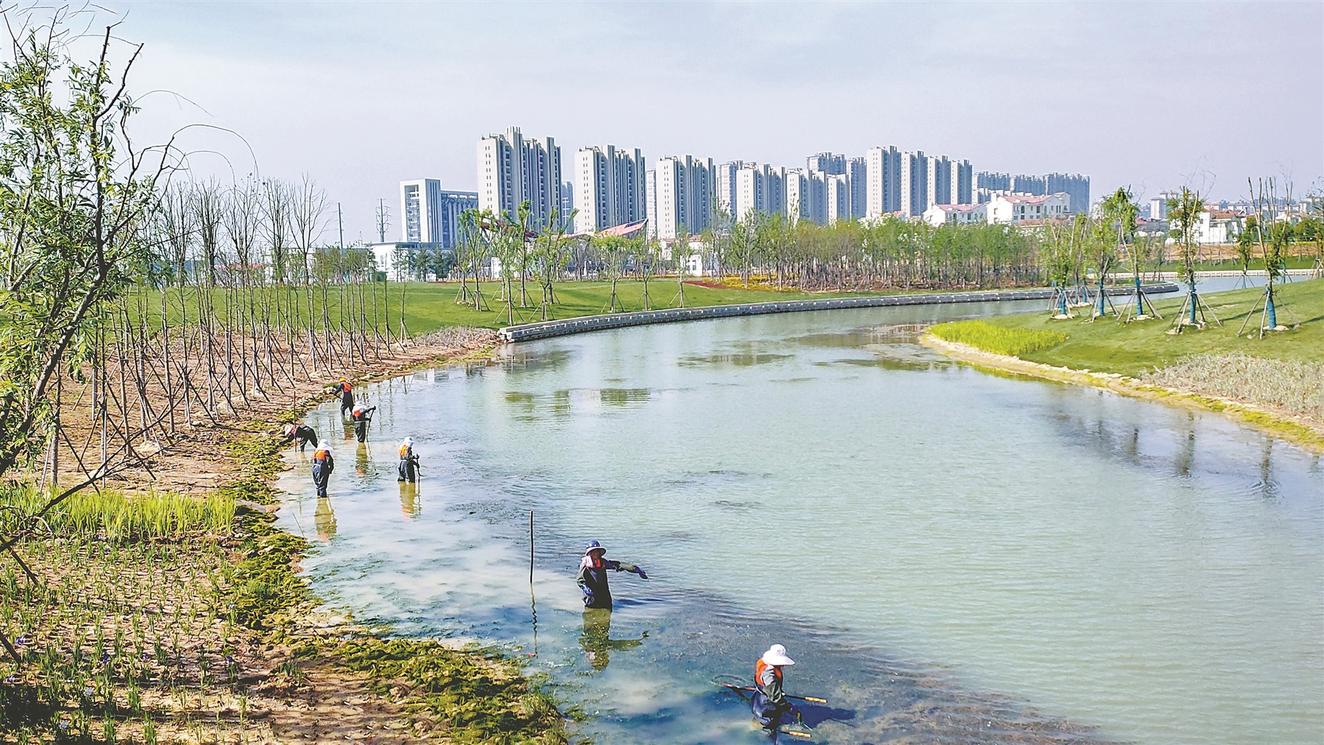 我市强力推进“蓝天碧水净土”保卫战