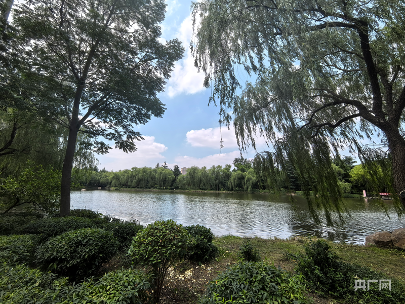 美丽中国行｜潍水畔铺青绿乡野山间绘就宜居新景(图2)