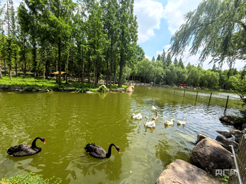 美丽中国行｜潍水畔铺青绿乡野山间绘就宜居新景(图1)