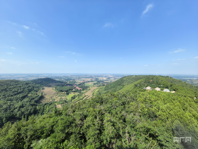美丽中国行｜潍水畔铺青绿乡野山间绘就宜居新景(图4)